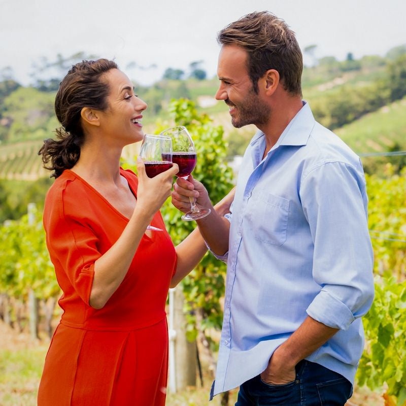 Vineyard Tour & Tastings – Gift Experience