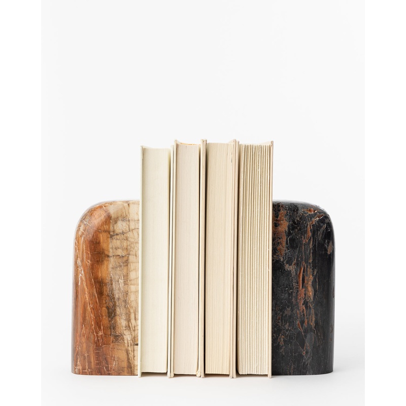 Petrified Wood Bookends (Set of 2)